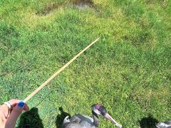 -普洱太阳河森林公园