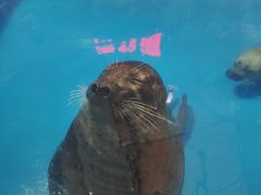 -梦幻海洋王国(吾悦广场张家港店)