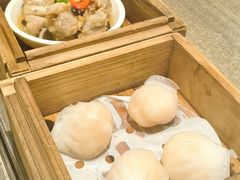 -裕莲茶楼(陆家嘴中心店)