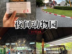-清迈夜间动物园