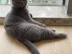 -佳雯宠物医院·皮肤科·内外科(春晓路分院)