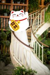 点击看大图 -帆拉斐婚纱摄影(春熙店)