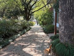 -中国茶叶博物馆(双峰馆区)