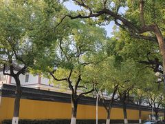 -西园戒幢律寺