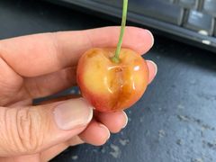 -堤口果品批发市场