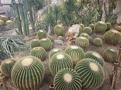 -北京植物园-展览温室