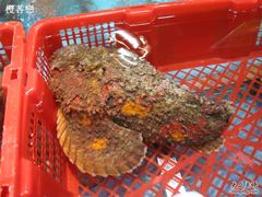 -渔民新村(番禺总店)