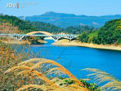 -广州市流溪河国家森林公园