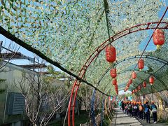 -嬉乐湾休闲旅游区