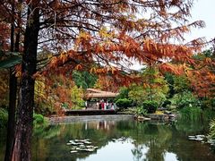 -云溪植物园
