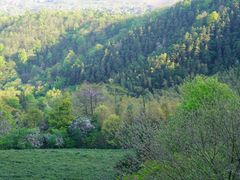 -敬亭山风景名胜区
