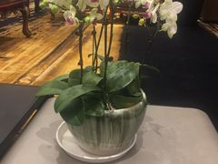 店内布置-CoCo都可(118广场店)