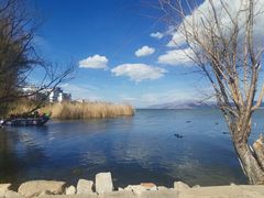 -洱海月湿地公园