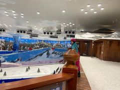 -长沙湘江冰雪世界