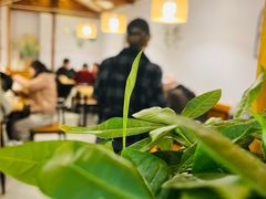 -小厨子私房菜·云南美食店