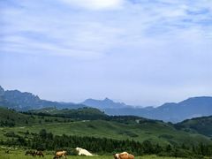 -灵山