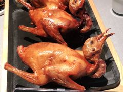 -大鸽饭(体育西路店)