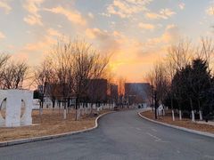 -长春世界雕塑园冰雪艺术天地