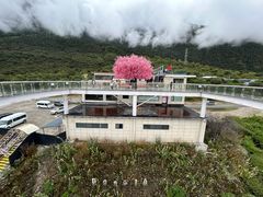 -佛掌沙丘