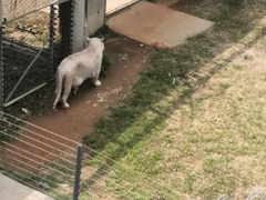 -石家庄市动物园