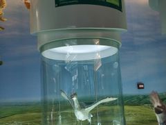 -辽宁古生物博物馆