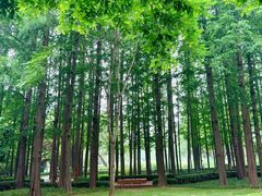 -青岛海滨风景区