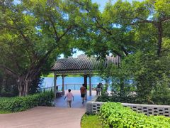 -四海公园(南山区)