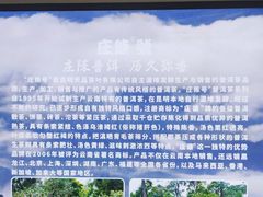 -花之城