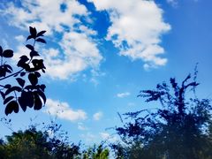 -韶关经律论国际酒店温泉