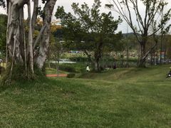 -牛岗山公园
