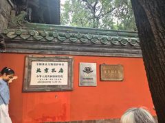 -北京国子监胡同
