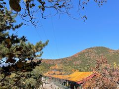 -北京十三陵国家森林公园蟒山景区