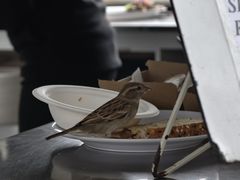 -Kaikoura Seafood BBQ Kiosk
