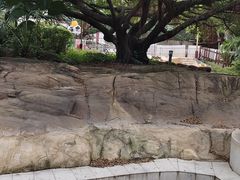 -江门古兜温泉小镇