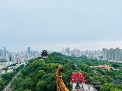 -黄鹤楼公园(黄鹤楼)