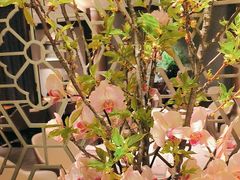 -山里亲戚(淞虹路店)
