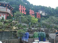 -枇杷园食为鲜火锅(南山店)