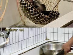 -沣峪口