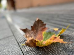 -苏州文庙(姑苏区)