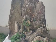 -上海醉白池公园