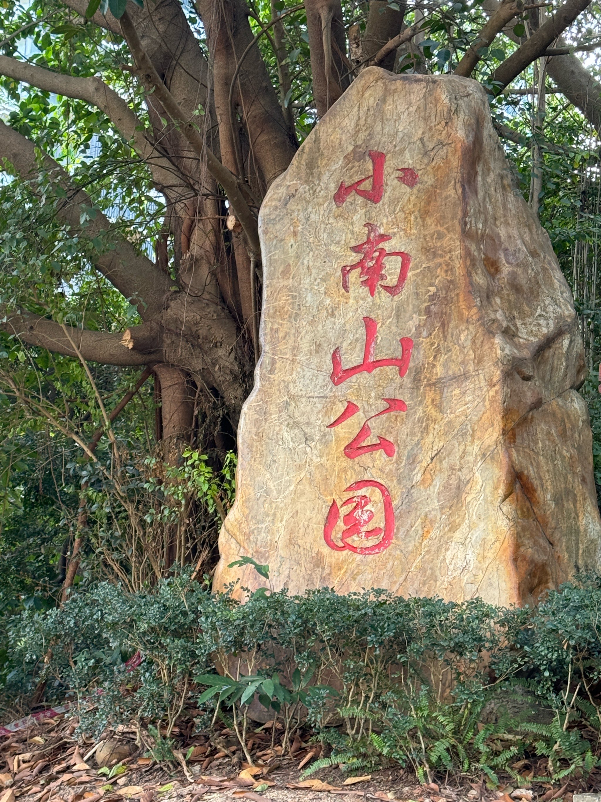 小南山公园登山路线图片