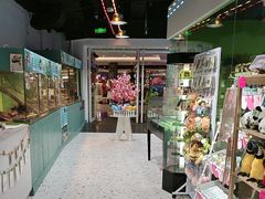 -上海大自然野生昆虫馆(东方明珠·爬宠昆虫探索中心)