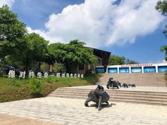-广东惠东海龟国家级自然保护区