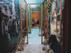 -北京动物园-畅观楼