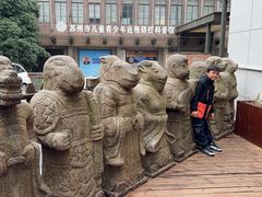 -苏州大学理想眼科医院