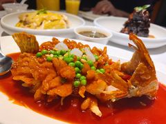 松鼠桂鱼-玫瑰厅上海菜(兴国路店)