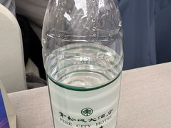 -上海青松城大酒店