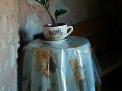 -梅黛奥拉修道院