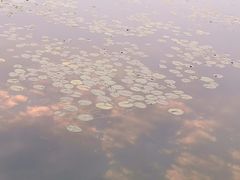 -暨阳湖生态园