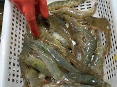 -西北农副产品中心批发市场(广安路店)